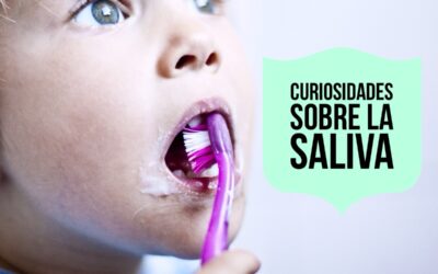 ¿Qué ocurriría si no tuviéramos saliva?